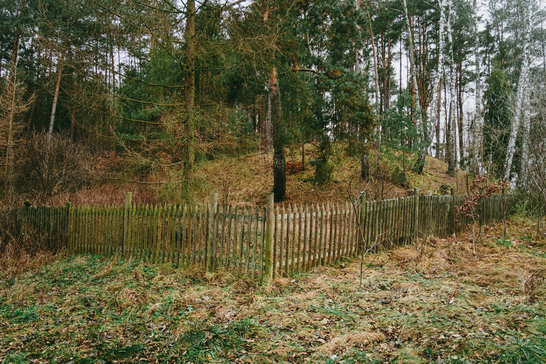 Kościerzyna: Powstaną miejsca doraźnego schronienia dzięki nowemu projektowi